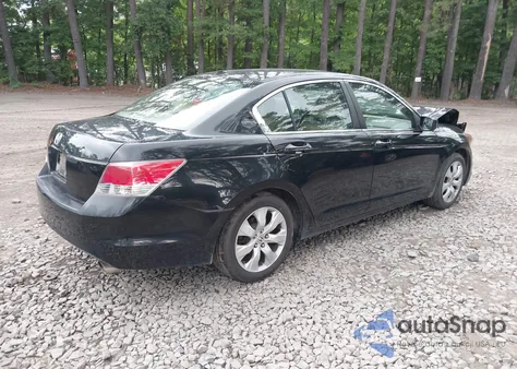 2010 Honda Accord 2.4 Ex-L из США, поврежденный, VIN 1HGCP2F80AA124249